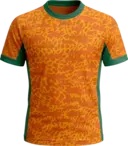 Nicolas Pepe shirt